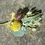 Buttonhole