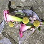 Buttonhole